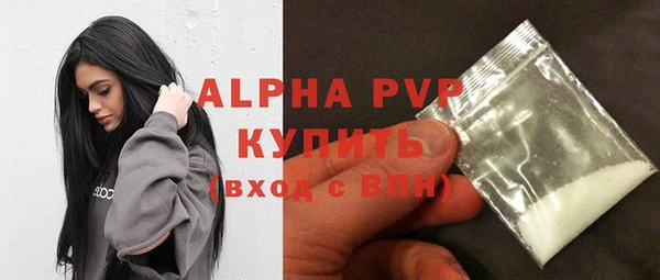 прущий лед Абаза