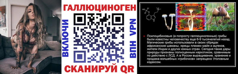 Галлюциногенные грибы Psilocybine cubensis  Нерехта 